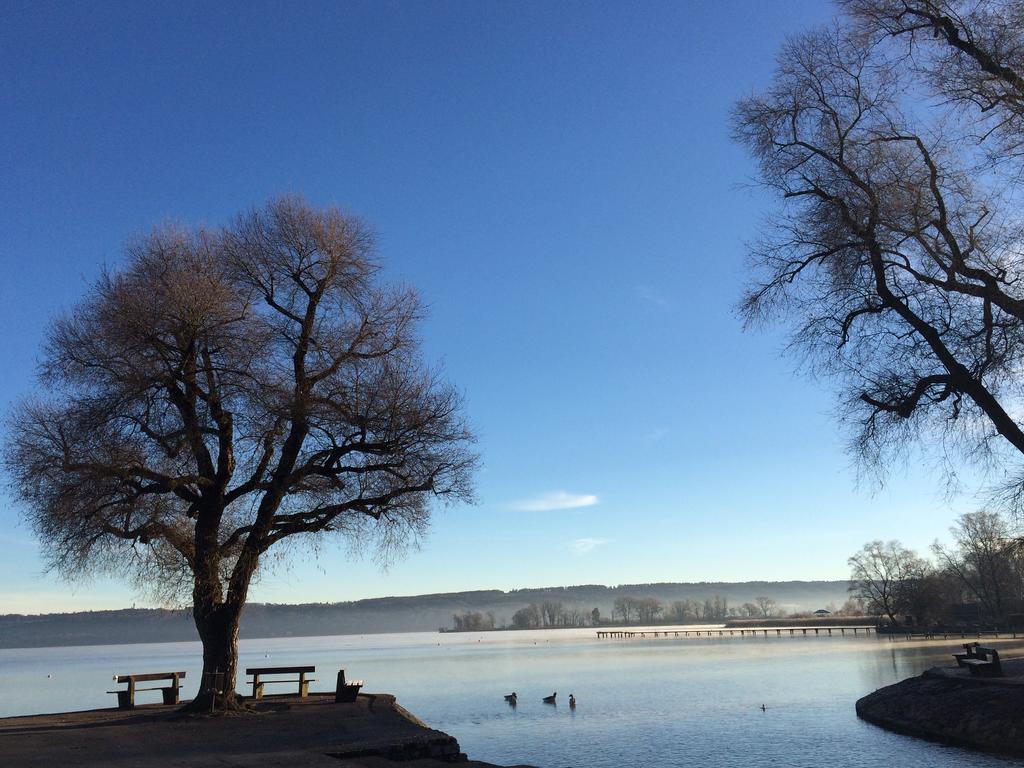 Hotel Zum See Garni Dießen am Ammersee Eksteriør bilde